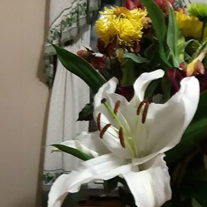 Meet your Posher, Georgina